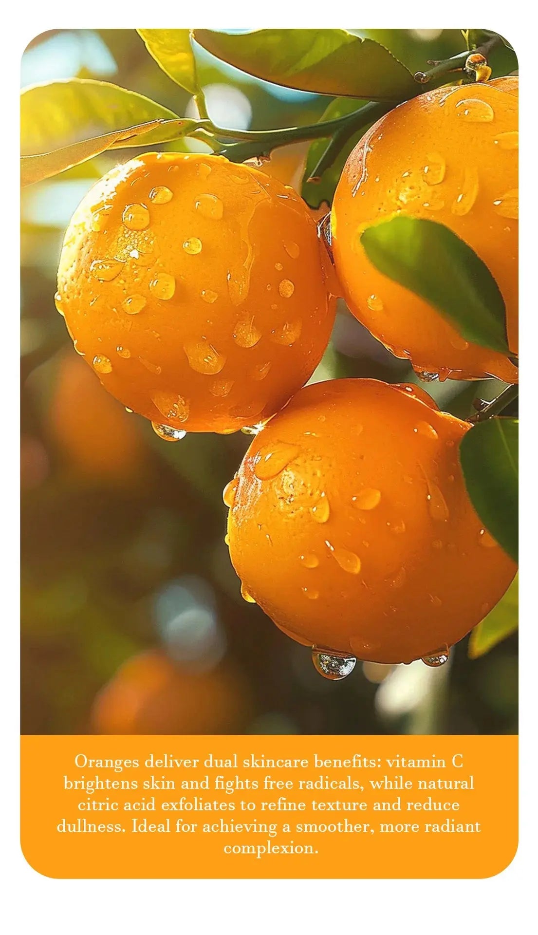 Orange Exfoliating Gel 50g, Exfoliation, Dead, Removal Deeply Cleansing, Long-Lasting,Moisture Cleanses Pores,Safe for Full Body Velozya